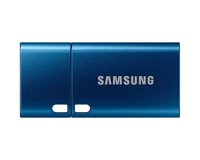 SAMSUNG Type-C™ USB Flash Drive, 128GB, Transfers 4GB Files in 11 Secs w/Up to 400MB/s 3.13 Read Speeds, Compatible w/USB 3.0/2.0, Waterproof, Blue